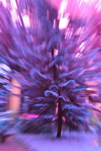 Purple Daze | Soul Vapor E-Liquid