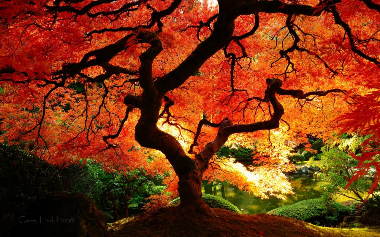 5 Fall Vaping Tips | Soul Vapor E-Liquid Blog