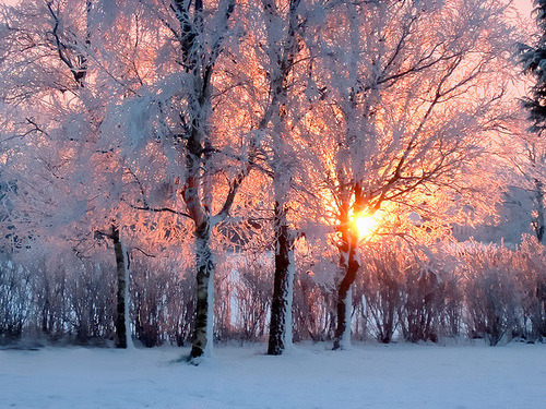 5 Winter Vaping Tips | Soul Vapor E Liquid Blog