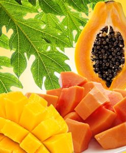 Mango Melons