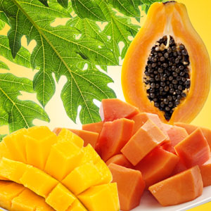 Mango Melons
