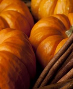 Pumpkin Spice | Soul Vapor eLiquid