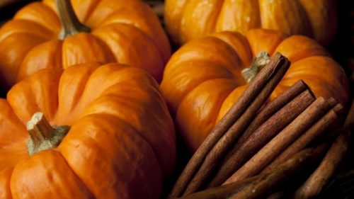 Pumpkin Spice | Soul Vapor eLiquid