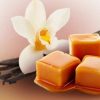 Vanilla Caramel | Soul Vapor E-Liquid